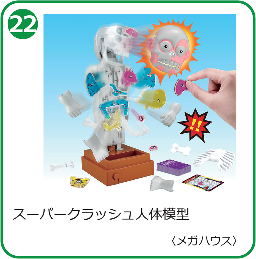 スーパークラッシュ人体模型