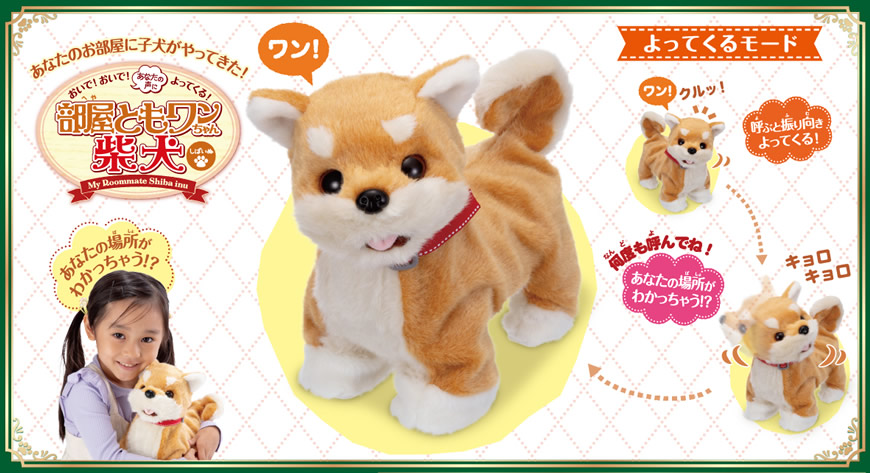おいで!おいで!よってくる!部屋ともワンちゃん柴犬