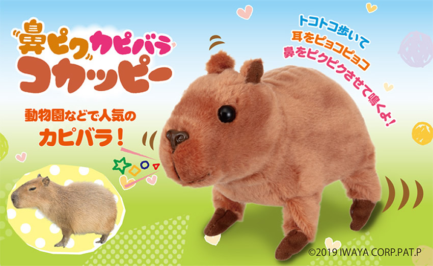 鼻ピクカピバラ コカッピー
