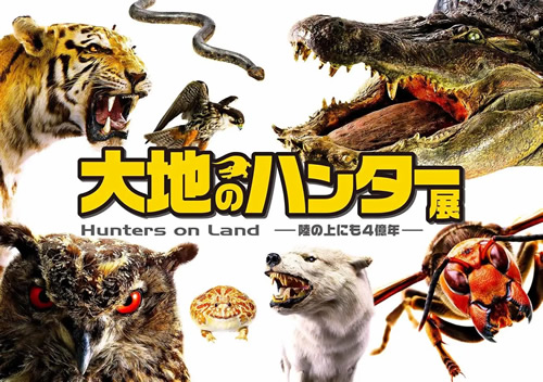 大地のハンター展 ~陸の上にも 4 億年~