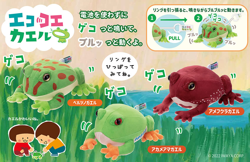 エココエカエル(ベルツノガエル/アカメアマガエル/アメフクラガエル)