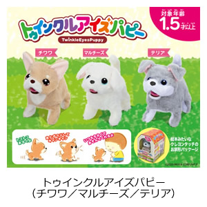 トゥインクルアイズパピー（チワワ/マルチーズ/テリア）