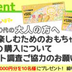 「自分が楽しむためのおもちゃ」の購入について