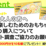 「自分が楽しむためのおもちゃ」の購入について