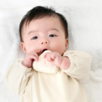 お米のおもちゃ めばえセット