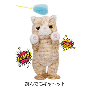 跳んでもキャ～ット