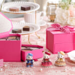 シルバニアファミリー × DelReY ダイヤモンドショコラ BOX