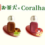 Coralhaze デュードロップティント
