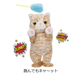 跳んでもキャ～ット